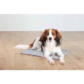 Kühlmatte für Tiere, gestreift, weiß/grau 65 x 50 cm